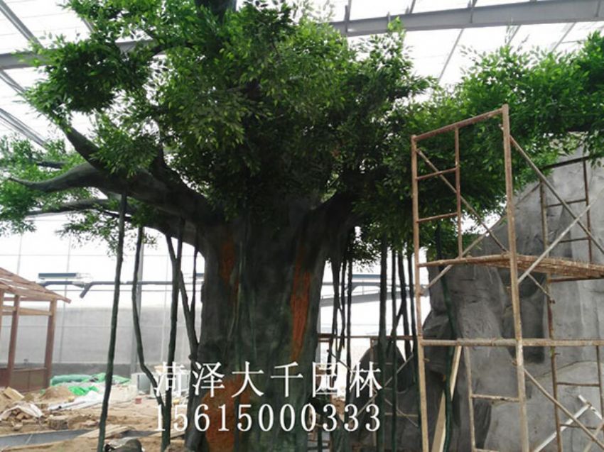 點(diǎn)擊查看詳細(xì)信息<br>標(biāo)題：假樹 閱讀次數(shù)：1470