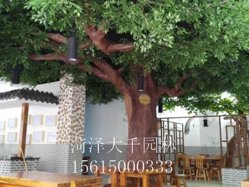 點(diǎn)擊查看詳細(xì)信息<br>標(biāo)題：假樹 閱讀次數(shù)：1404