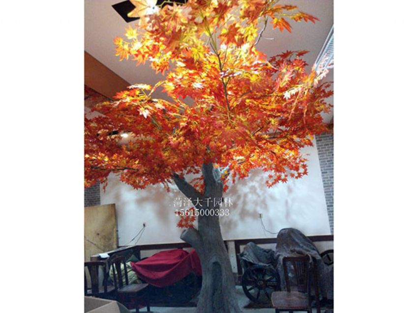 點(diǎn)擊查看詳細(xì)信息<br>標(biāo)題：假樹(shù) 閱讀次數(shù)：1547