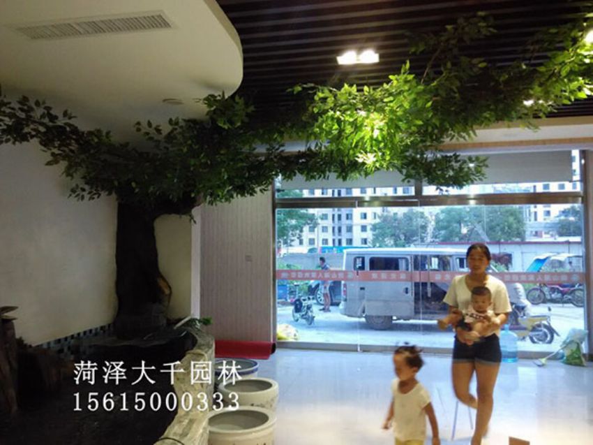 點(diǎn)擊查看詳細(xì)信息<br>標(biāo)題：假樹(shù) 閱讀次數(shù)：1423