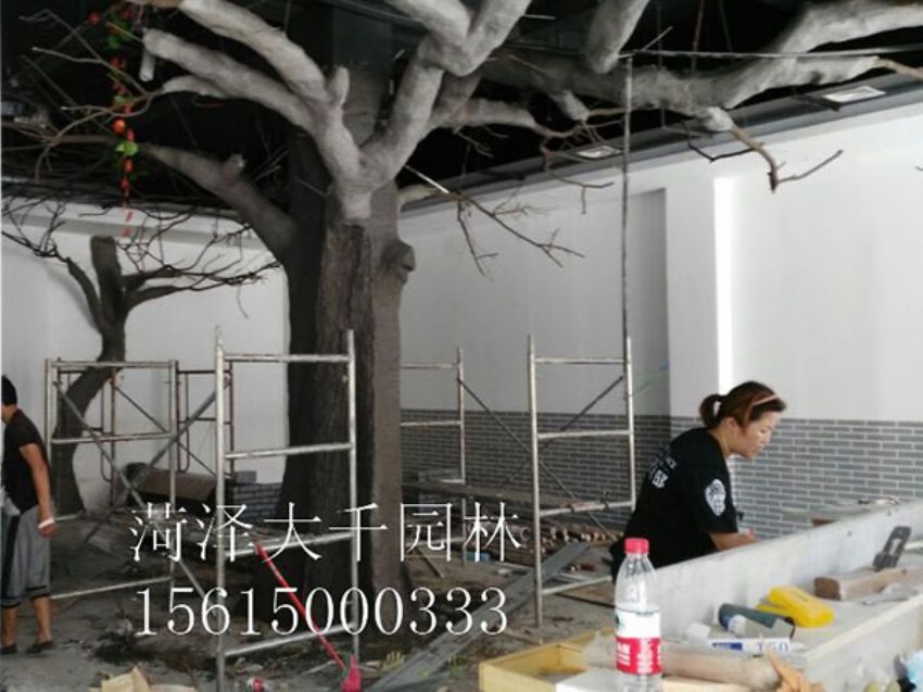 點擊查看詳細信息<br>標題：假樹 閱讀次數：1402