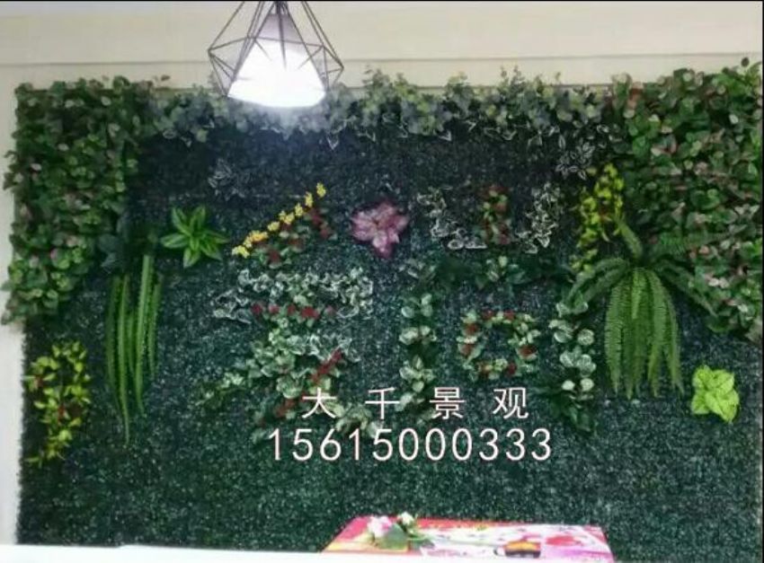 點(diǎn)擊查看詳細(xì)信息<br>標(biāo)題：綠植墻 閱讀次數(shù)：1570