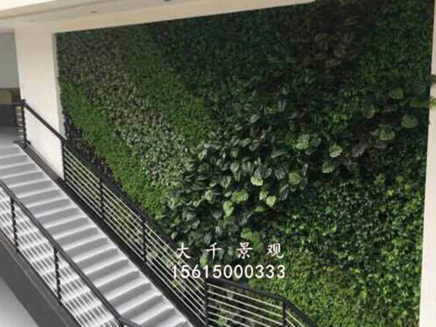 點(diǎn)擊查看詳細(xì)信息<br>標(biāo)題：綠植墻 閱讀次數(shù)：1707