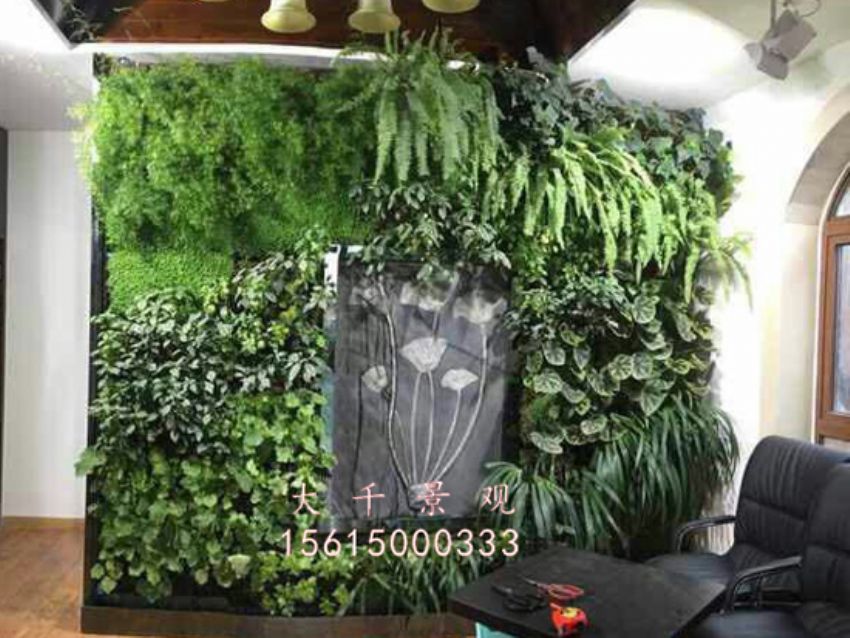 點(diǎn)擊查看詳細(xì)信息<br>標(biāo)題：綠植墻 閱讀次數(shù)：1784