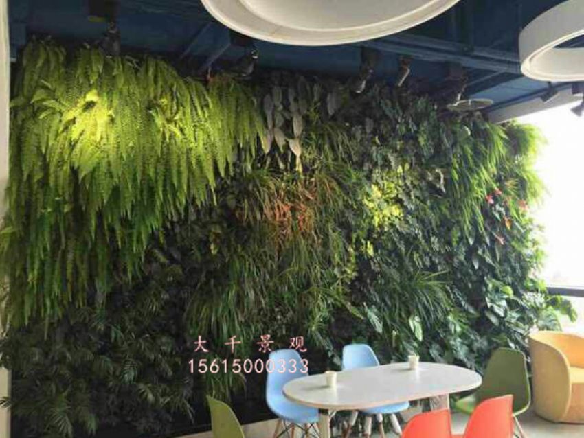 點擊查看詳細信息<br>標題：綠植墻 閱讀次數：1993