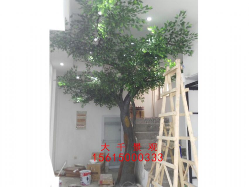 點擊查看詳細信息<br>標題：瓷磚磁瓦 閱讀次數：2375