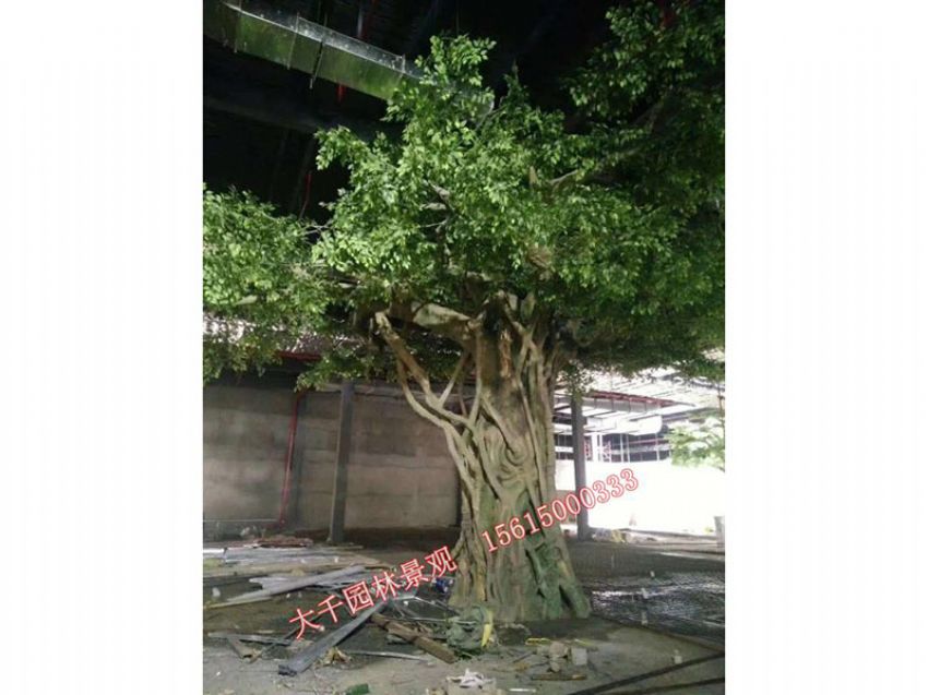 點(diǎn)擊查看詳細(xì)信息<br>標(biāo)題：假樹 閱讀次數(shù)：2485