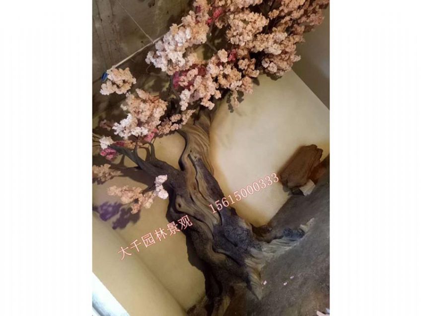 點(diǎn)擊查看詳細(xì)信息<br>標(biāo)題：假樹 閱讀次數(shù)：2508